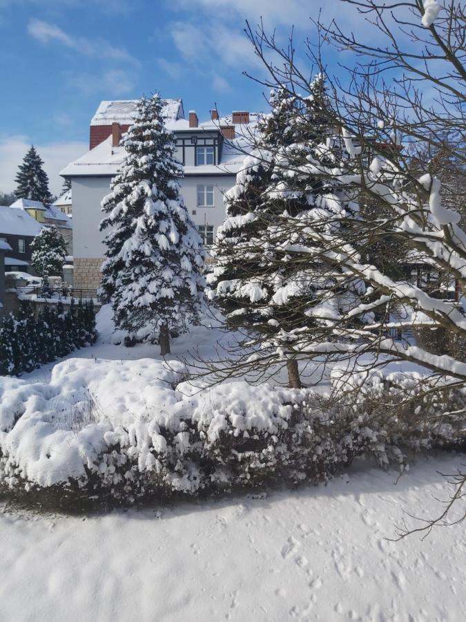 Villa Lessing Polanica-Zdrój Exteriér fotografie